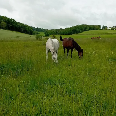 Avec Piscine Partagee
