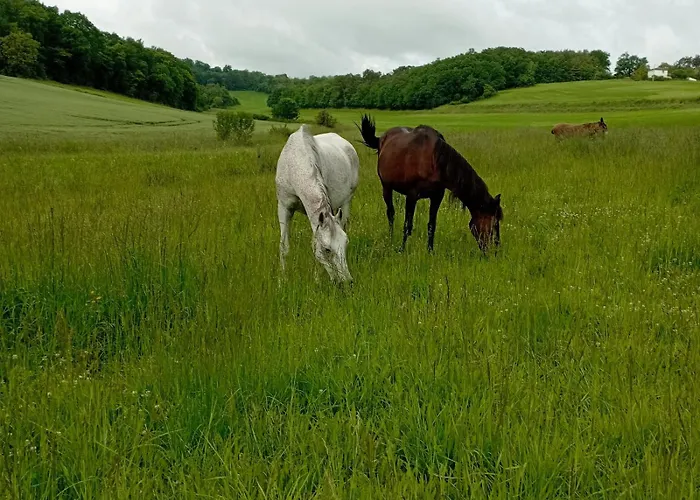 Avec Piscine Partagee
