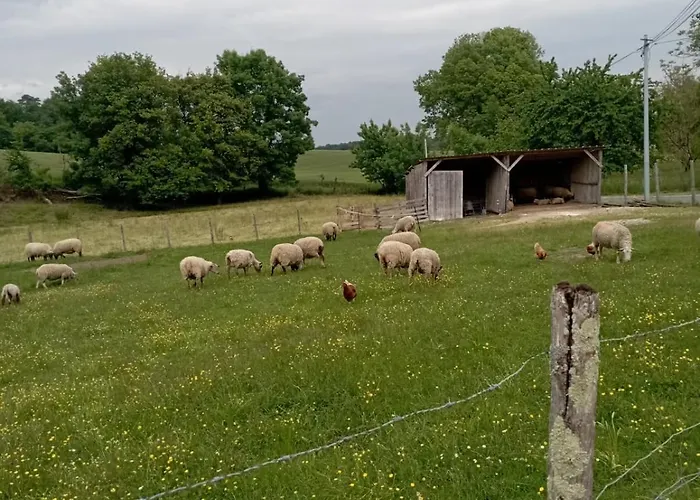 Avec Piscine Partagee Vakantiehuis *
